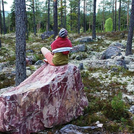 16 - Fulufjellets Nasjonalparker - Natur-, Dyre- Og Fugleopplevelser Ljordal ภายนอก รูปภาพ