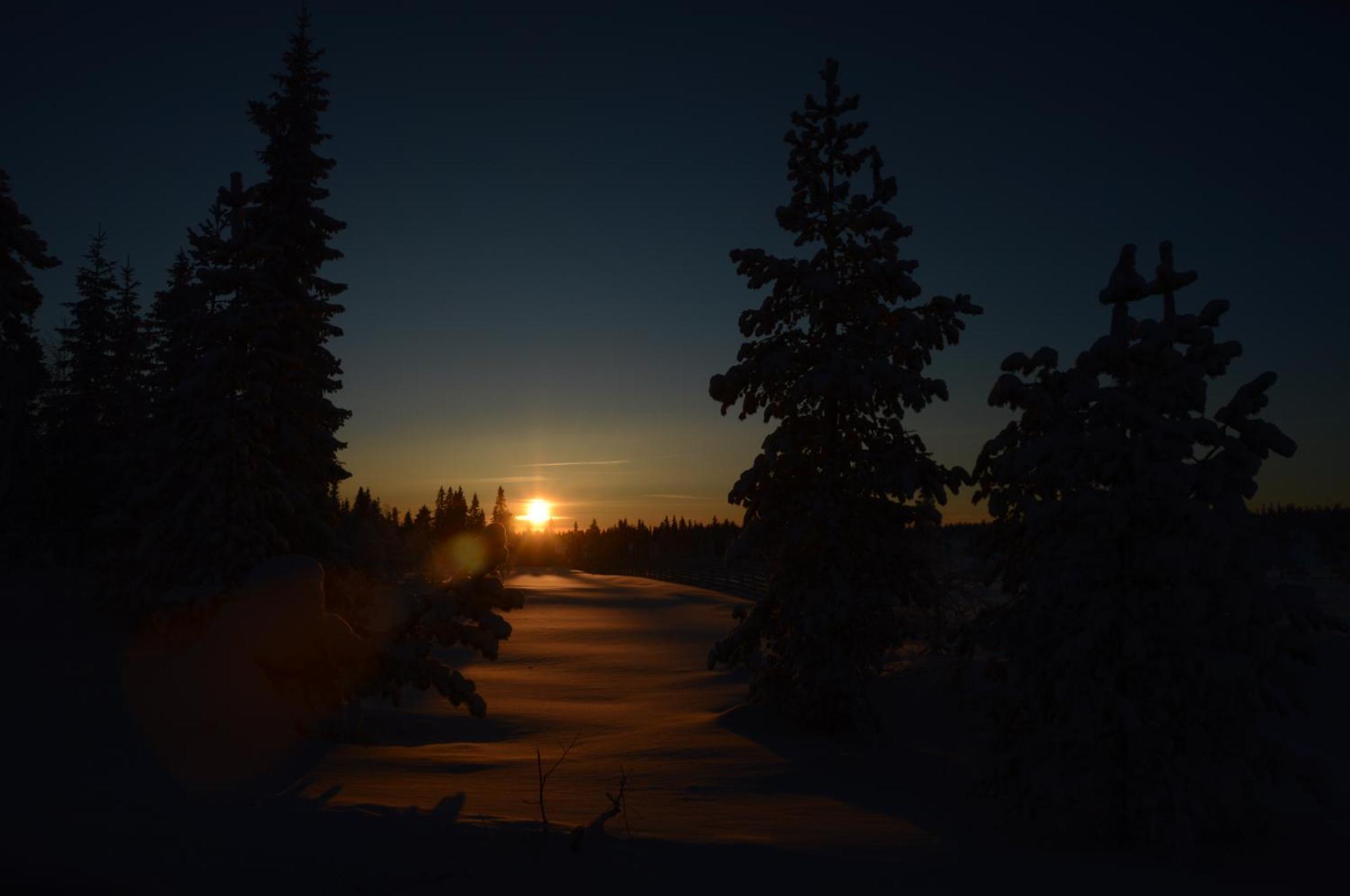 16 - Fulufjellets Nasjonalparker - Natur-, Dyre- Og Fugleopplevelser Ljordal ภายนอก รูปภาพ