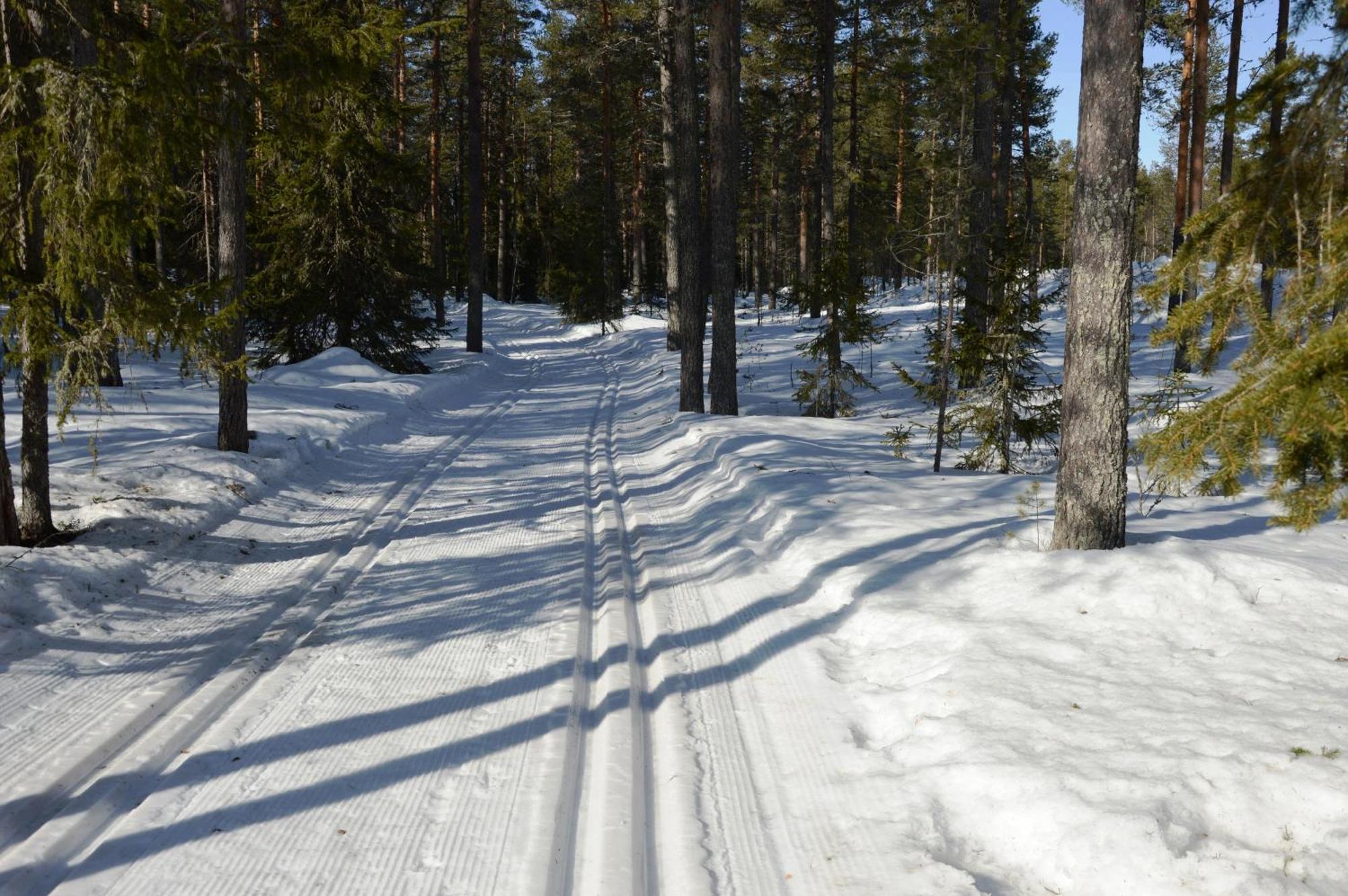 16 - Fulufjellets Nasjonalparker - Natur-, Dyre- Og Fugleopplevelser Ljordal ภายนอก รูปภาพ