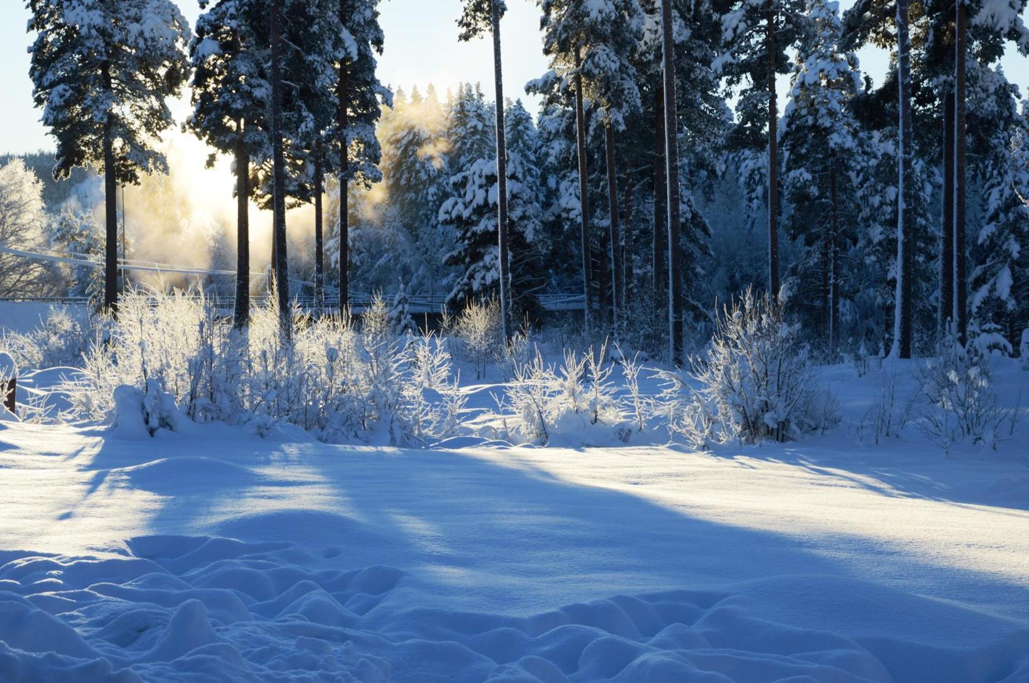 16 - Fulufjellets Nasjonalparker - Natur-, Dyre- Og Fugleopplevelser Ljordal ภายนอก รูปภาพ