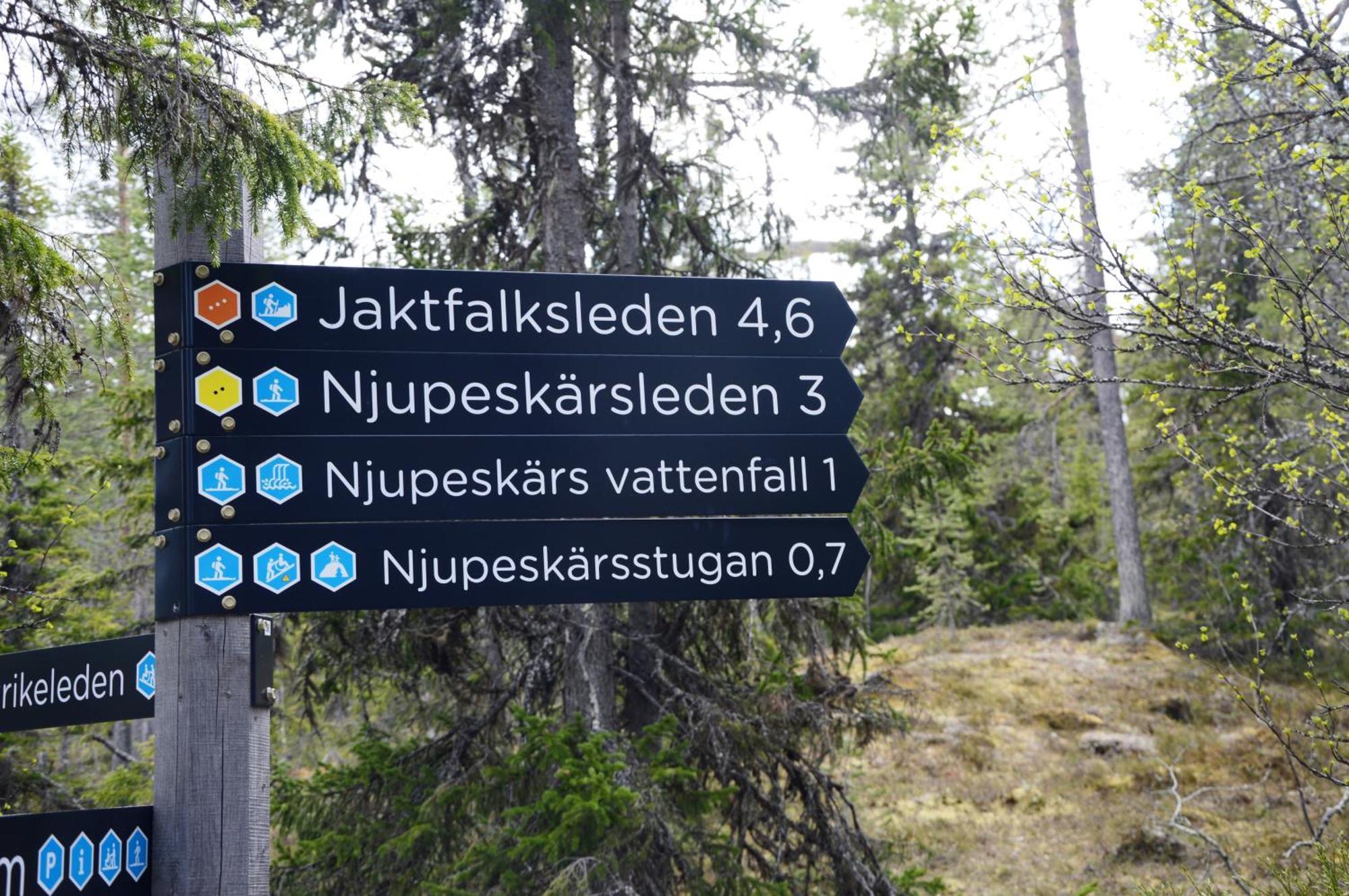 16 - Fulufjellets Nasjonalparker - Natur-, Dyre- Og Fugleopplevelser Ljordal ภายนอก รูปภาพ