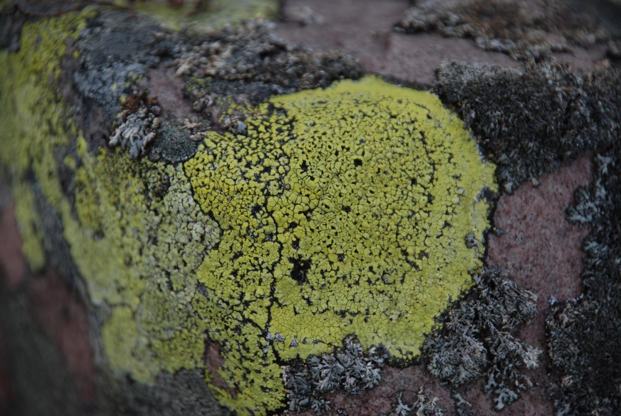 16 - Fulufjellets Nasjonalparker - Natur-, Dyre- Og Fugleopplevelser Ljordal ภายนอก รูปภาพ