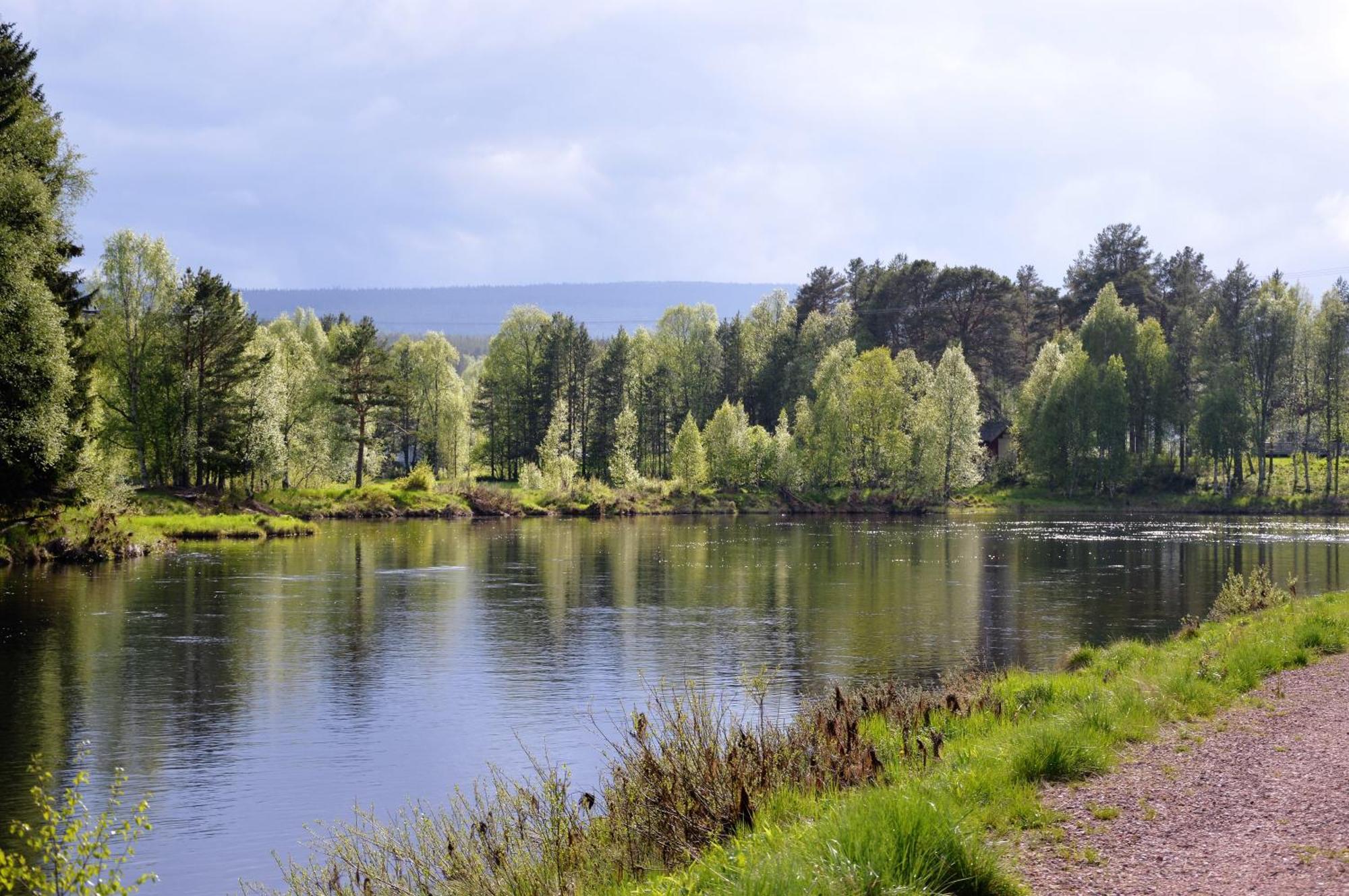 16 - Fulufjellets Nasjonalparker - Natur-, Dyre- Og Fugleopplevelser Ljordal ภายนอก รูปภาพ