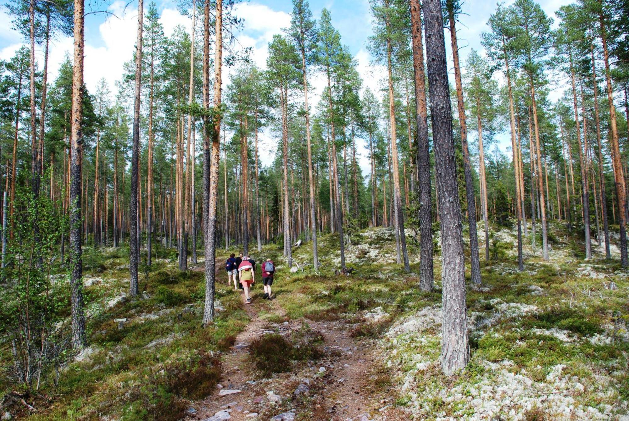 16 - Fulufjellets Nasjonalparker - Natur-, Dyre- Og Fugleopplevelser Ljordal ภายนอก รูปภาพ