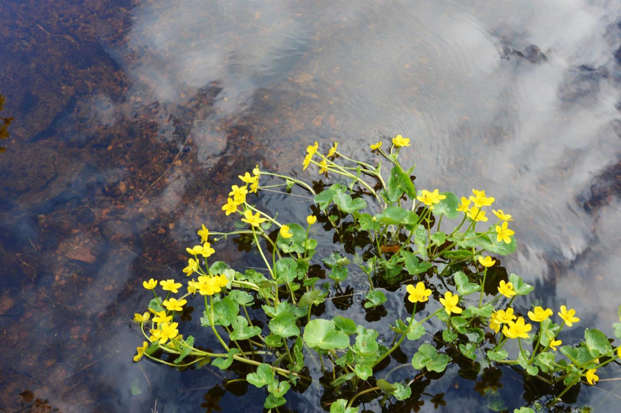 16 - Fulufjellets Nasjonalparker - Natur-, Dyre- Og Fugleopplevelser Ljordal ภายนอก รูปภาพ