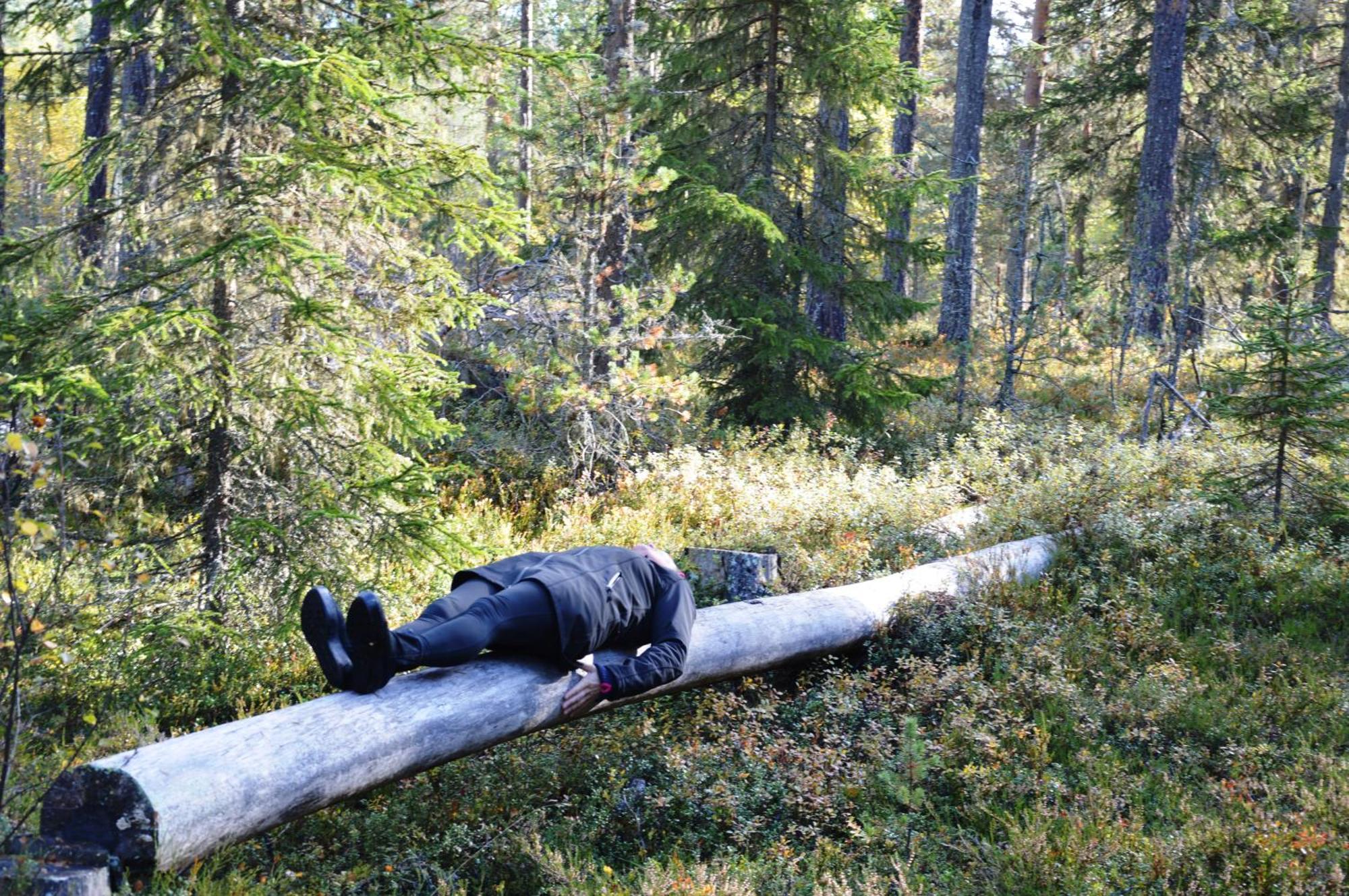 16 - Fulufjellets Nasjonalparker - Natur-, Dyre- Og Fugleopplevelser Ljordal ภายนอก รูปภาพ