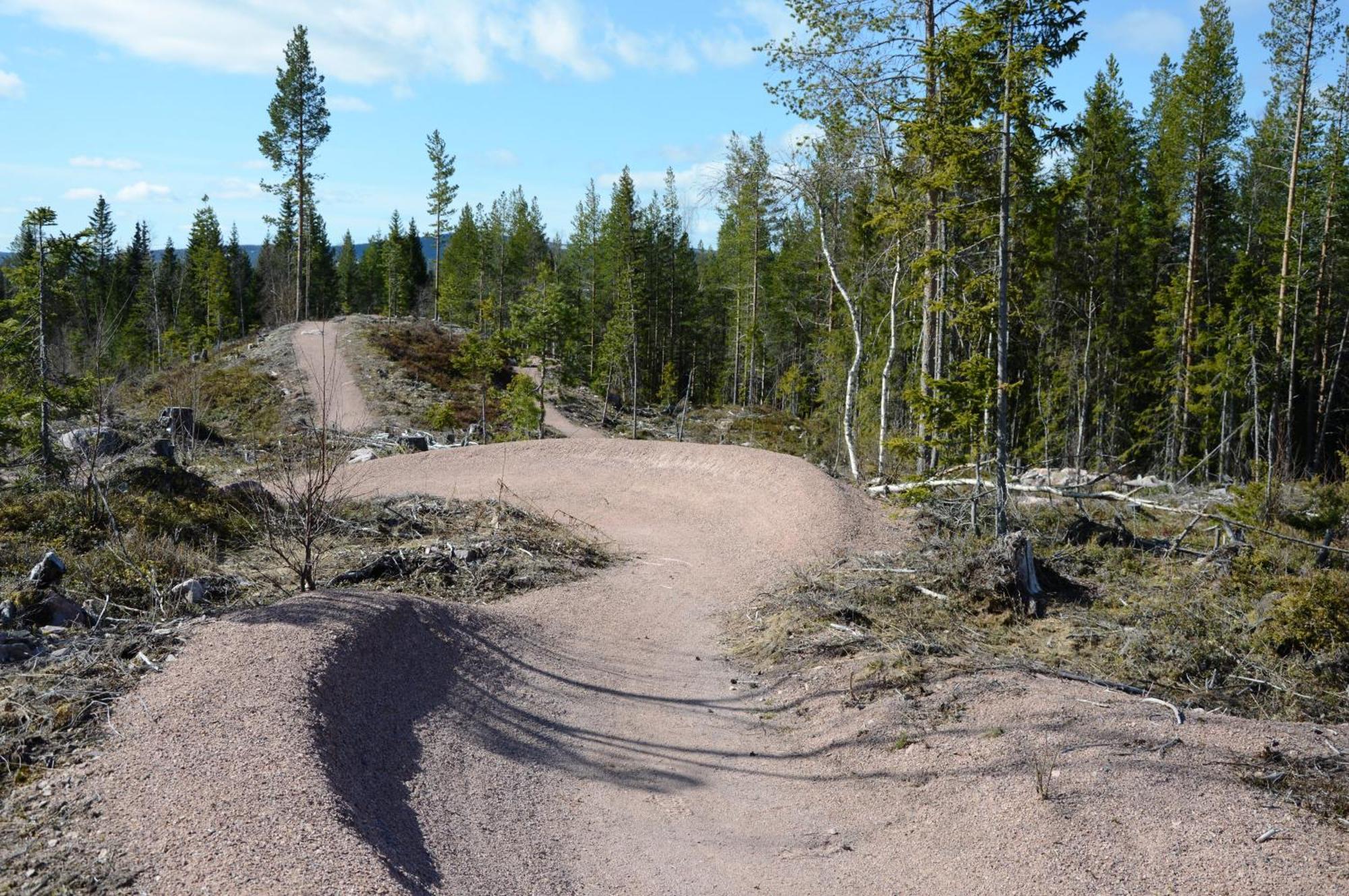 16 - Fulufjellets Nasjonalparker - Natur-, Dyre- Og Fugleopplevelser Ljordal ภายนอก รูปภาพ
