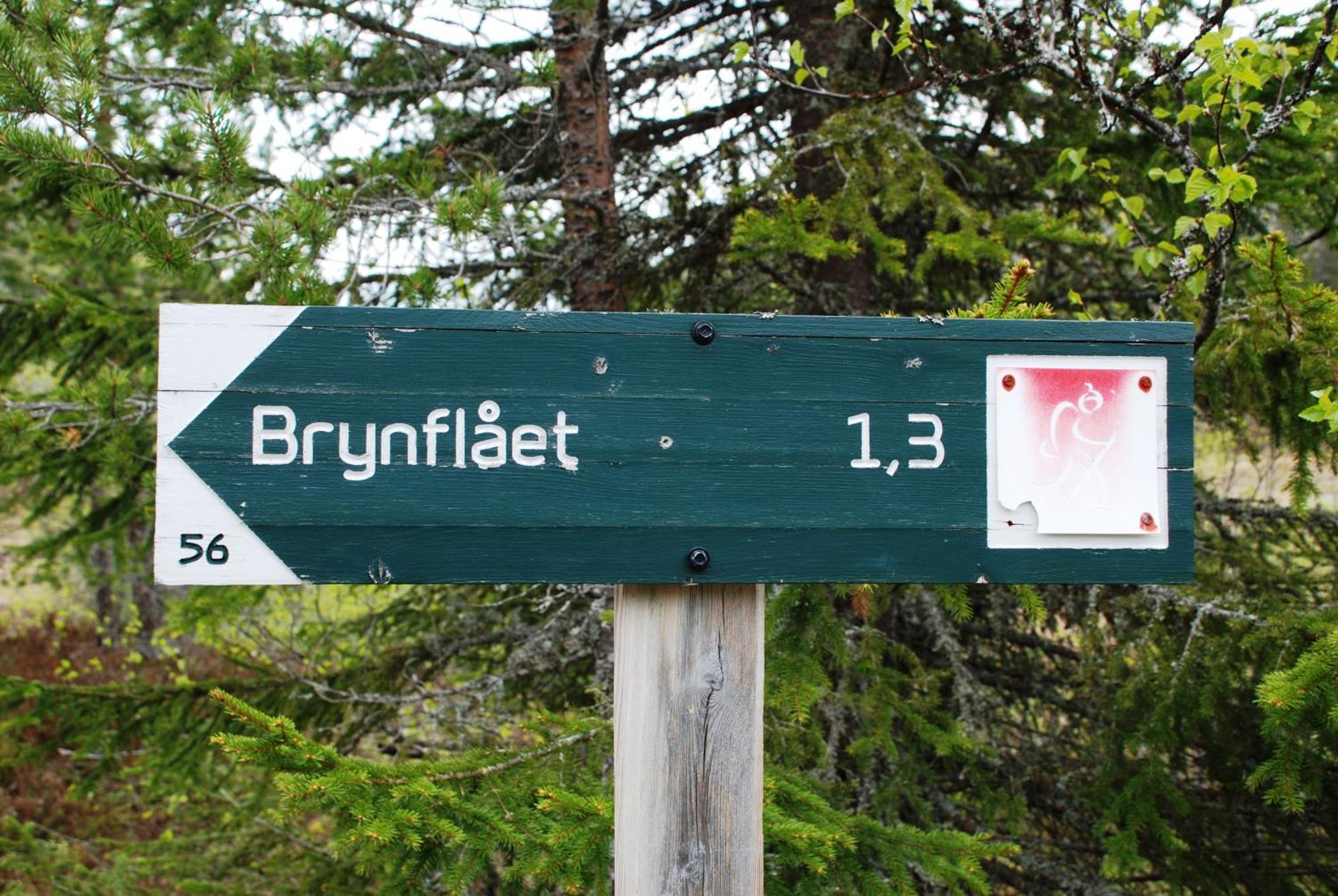16 - Fulufjellets Nasjonalparker - Natur-, Dyre- Og Fugleopplevelser Ljordal ภายนอก รูปภาพ