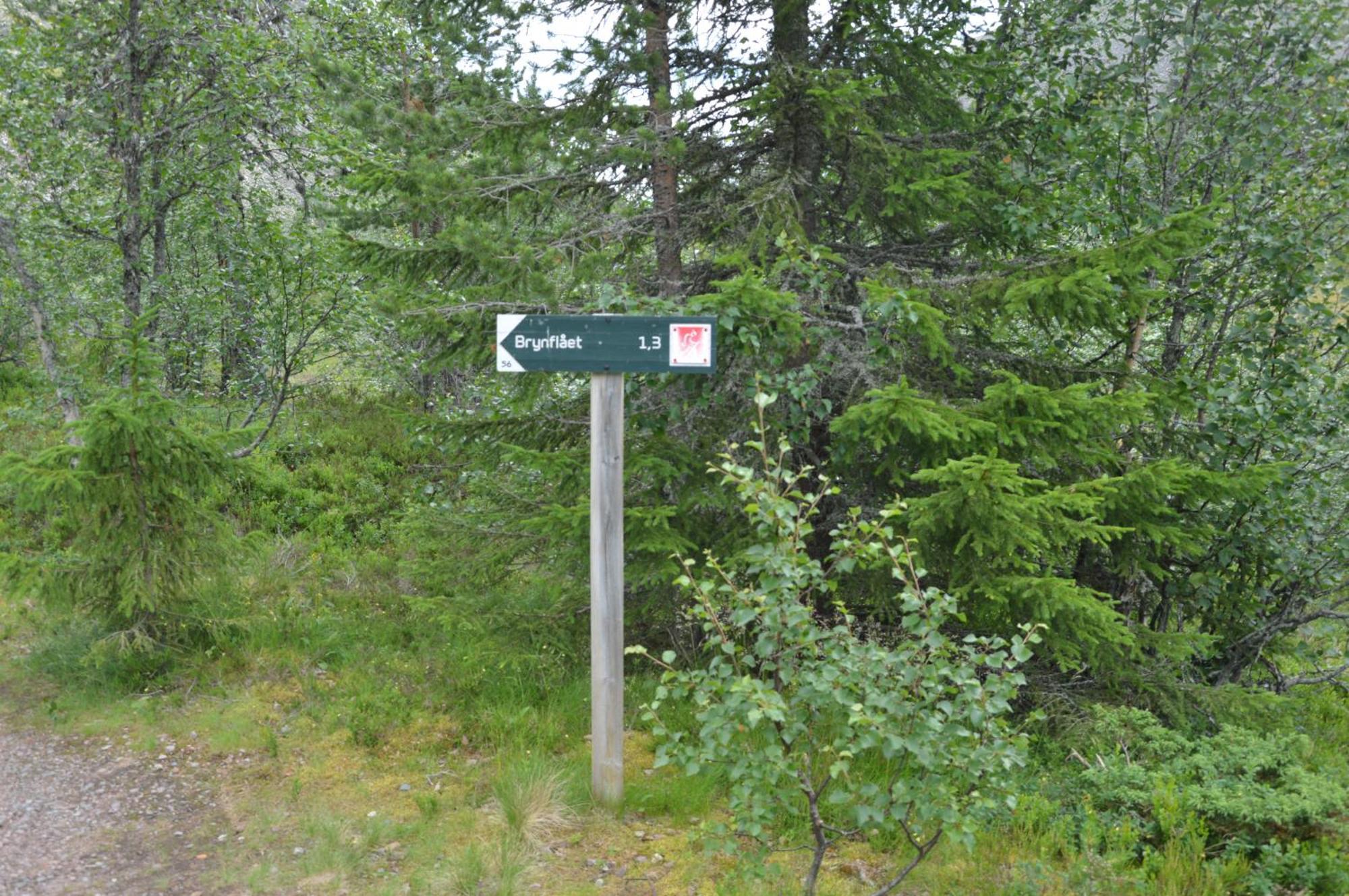 16 - Fulufjellets Nasjonalparker - Natur-, Dyre- Og Fugleopplevelser Ljordal ภายนอก รูปภาพ