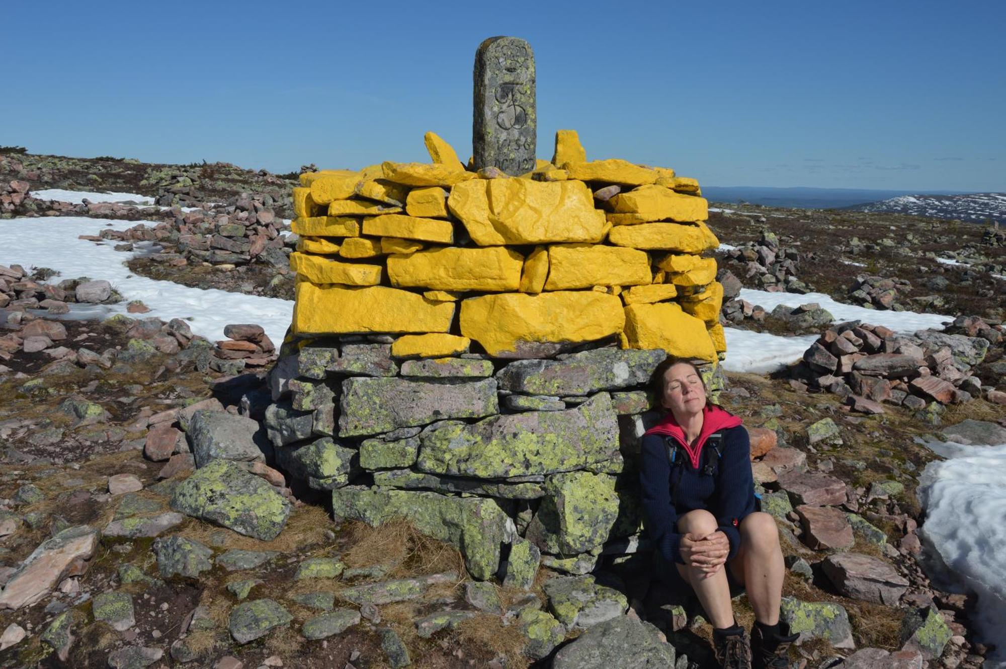 16 - Fulufjellets Nasjonalparker - Natur-, Dyre- Og Fugleopplevelser Ljordal ภายนอก รูปภาพ