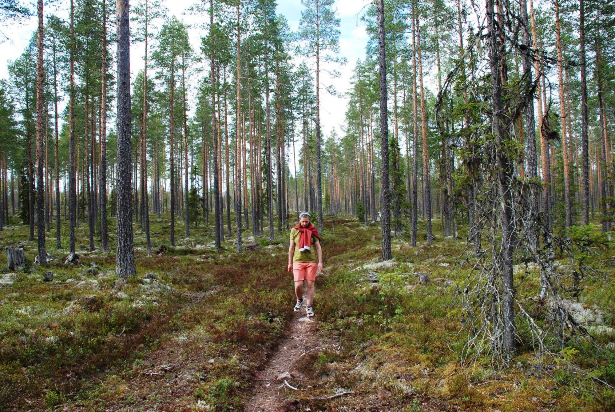 16 - Fulufjellets Nasjonalparker - Natur-, Dyre- Og Fugleopplevelser Ljordal ภายนอก รูปภาพ