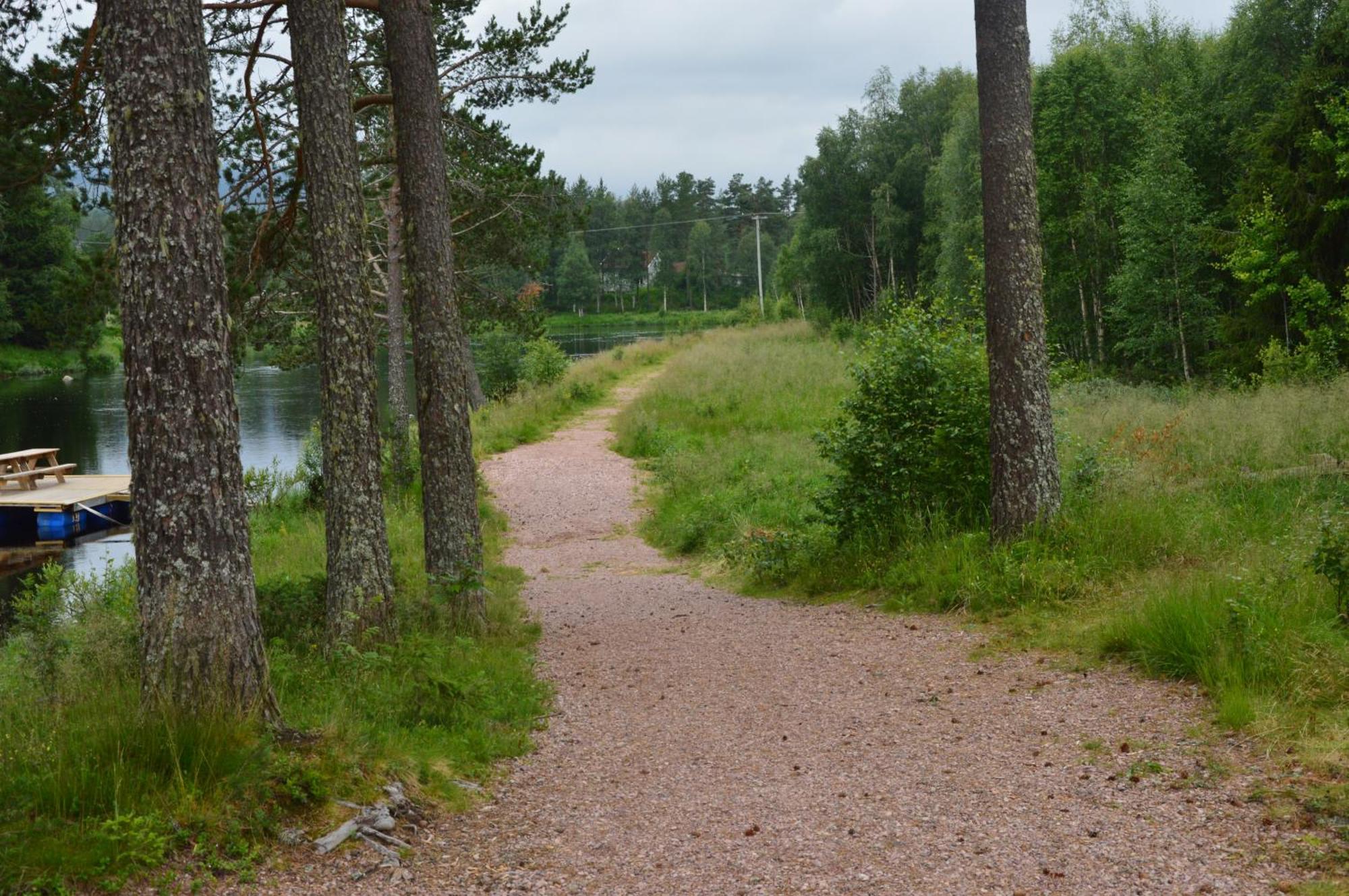 16 - Fulufjellets Nasjonalparker - Natur-, Dyre- Og Fugleopplevelser Ljordal ภายนอก รูปภาพ