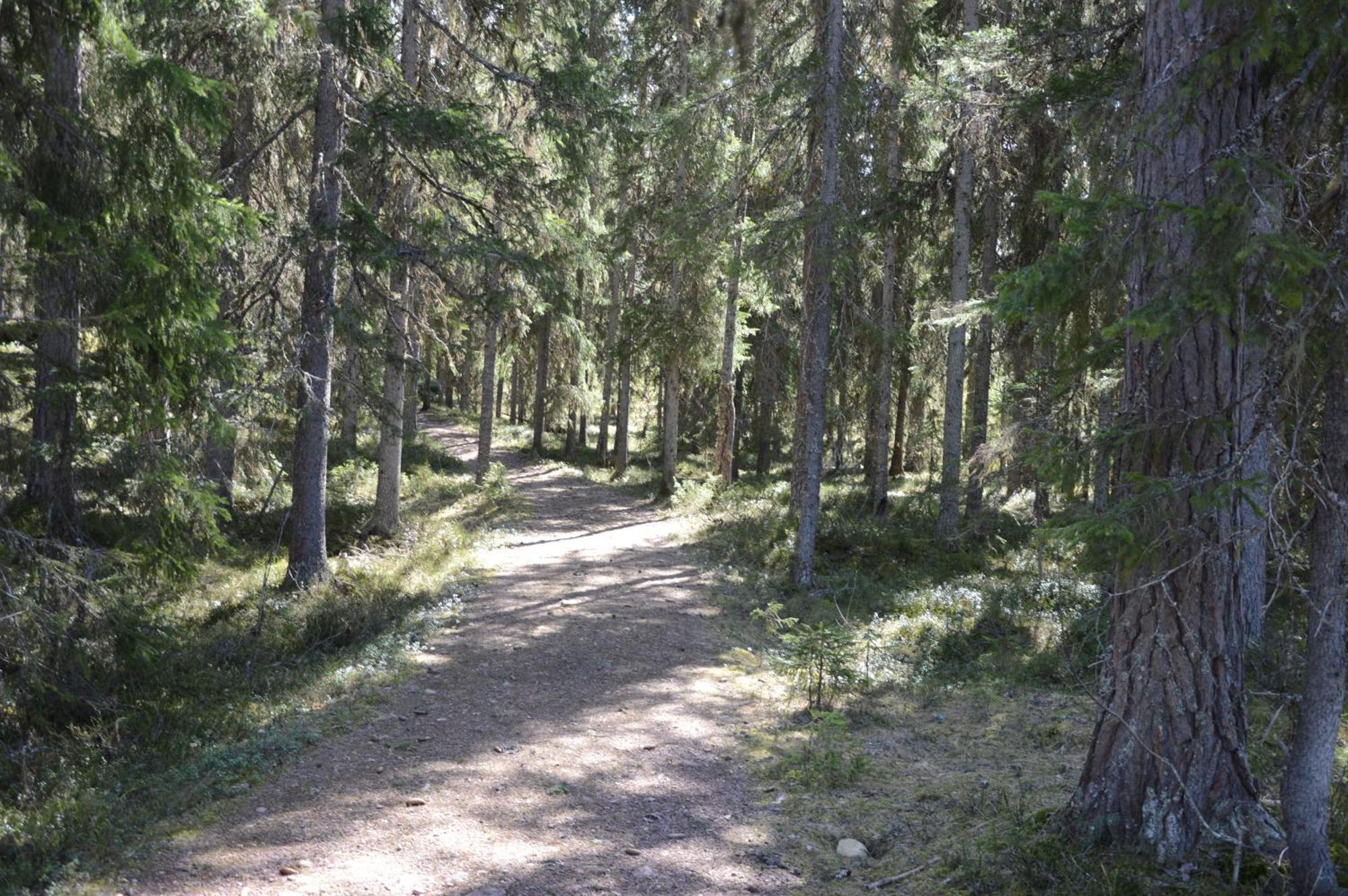 16 - Fulufjellets Nasjonalparker - Natur-, Dyre- Og Fugleopplevelser Ljordal ภายนอก รูปภาพ
