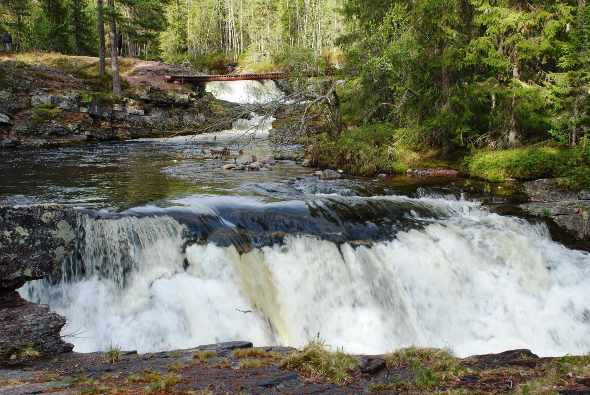 16 - Fulufjellets Nasjonalparker - Natur-, Dyre- Og Fugleopplevelser Ljordal ภายนอก รูปภาพ