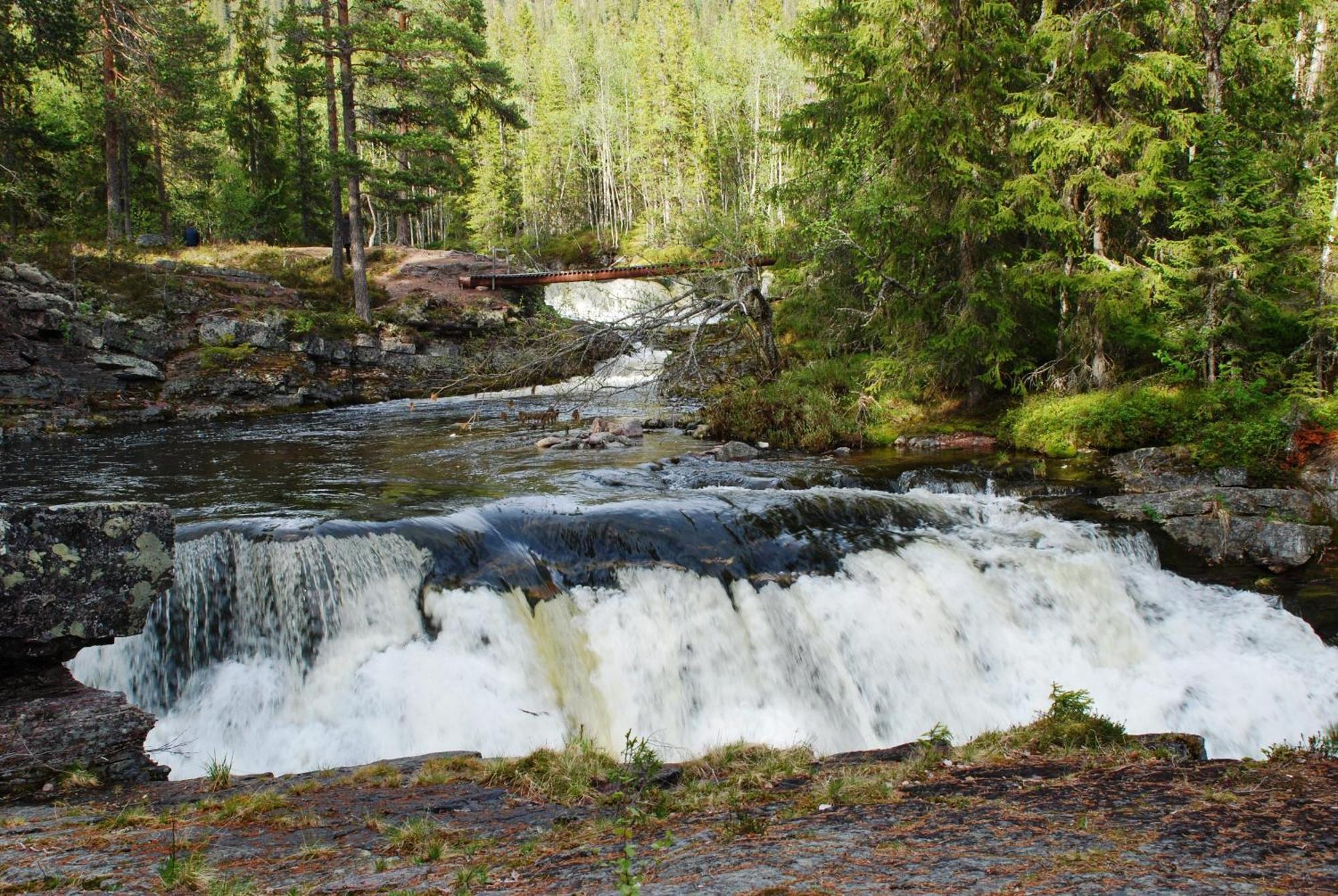 16 - Fulufjellets Nasjonalparker - Natur-, Dyre- Og Fugleopplevelser Ljordal ภายนอก รูปภาพ