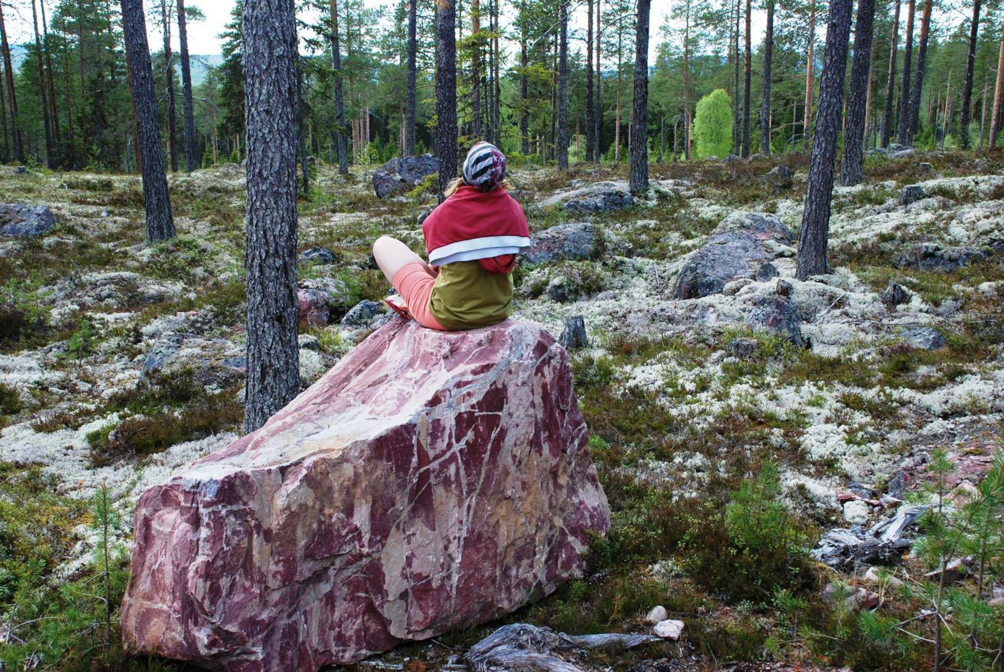 16 - Fulufjellets Nasjonalparker - Natur-, Dyre- Og Fugleopplevelser Ljordal ภายนอก รูปภาพ